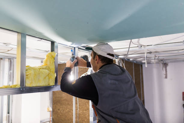 Best Insulation Installation Services in Junction City, CA