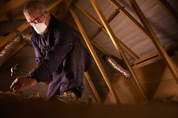 Best Types of Insulation in Junction City, CA